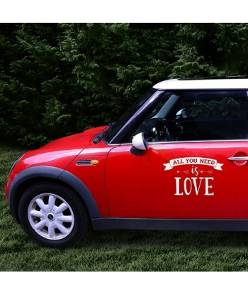 Sticker voiture mariage - All you need is Love