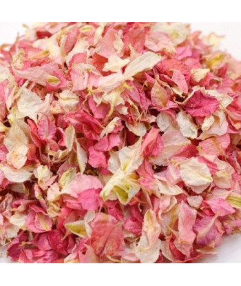 Confettis de fleurs push pop - rose