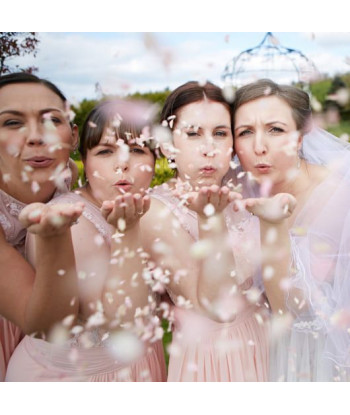 Confettis de fleurs biodégradables - blanc et rose