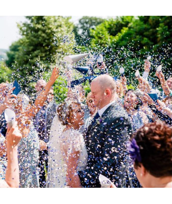 Confettis biodégradables de fleurs séchées bleu