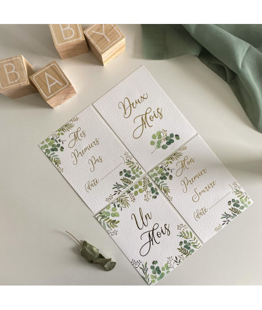 Cartes première année de bébé