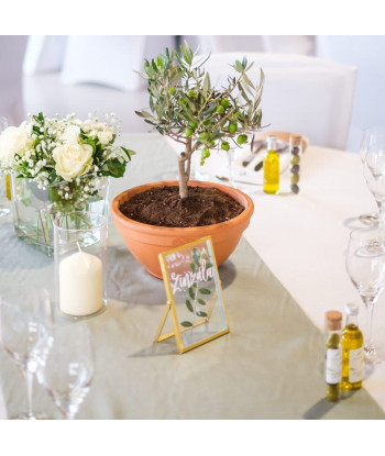 Chemin de table mousseline de coton vert sauge