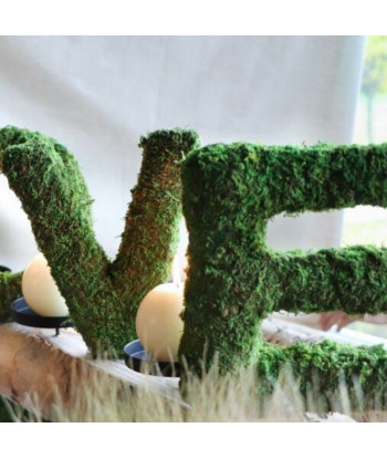 Lettre love en mousse 20 cm