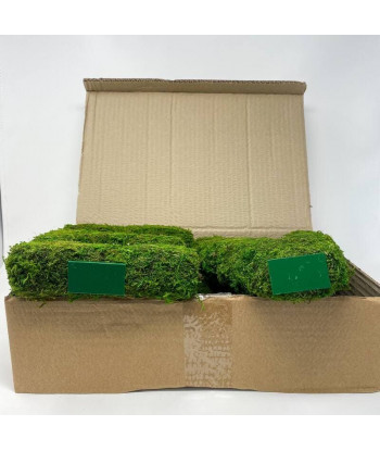 Lettre love en mousse 20 cm