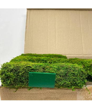 Lettre love en mousse 20 cm