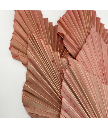 Fleurs séchées palmier rose palm spear