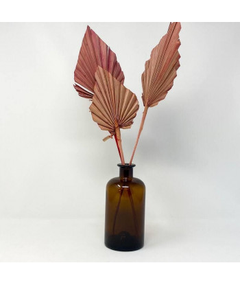 Fleurs séchées palmier rose palm spear