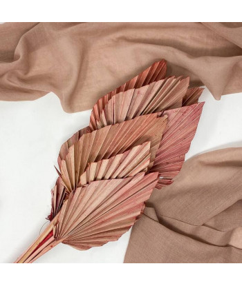 Fleurs séchées palmier rose palm spear