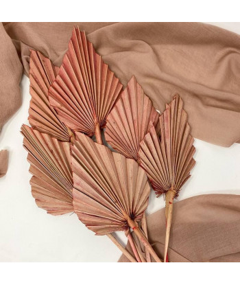 Fleurs séchées palmier rose palm spear