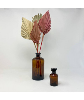 Fleurs séchées palmier rose palm spear