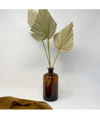 Fleurs séchées palmier camel x10