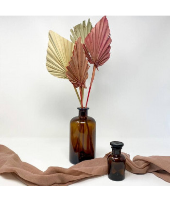 Fleurs séchées palmier camel x10