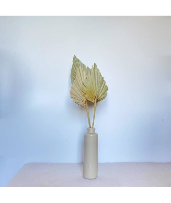 Fleurs séchées palmier camel x10