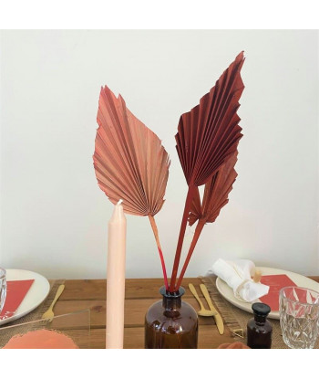 Fleurs séchées palmier rose palm spear