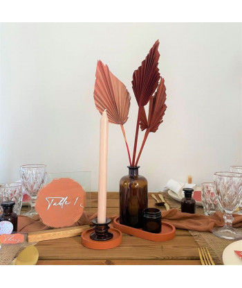 Fleurs séchées palmier rose palm spear