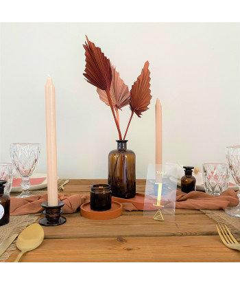 Fleurs séchées palmier rose palm spear