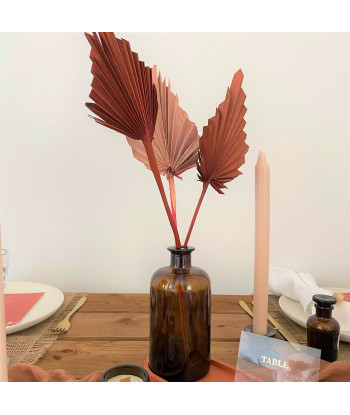 Fleurs séchées palmier rose palm spear