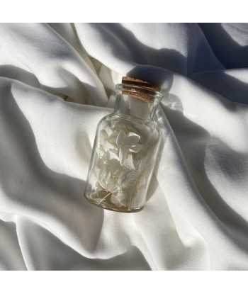 bouteille de fleurs séchées blanches