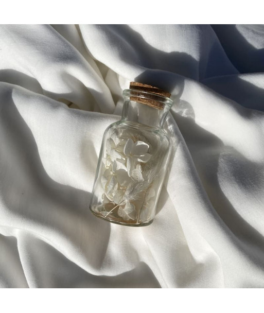 bouteille de fleurs séchées blanches
