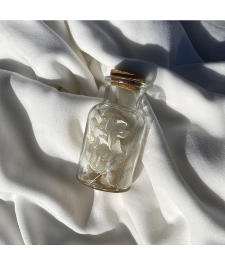 bouteille de fleurs séchées blanches