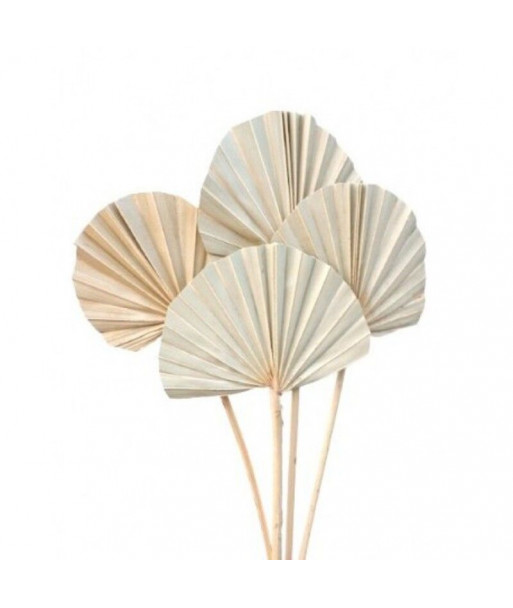 Bouquet de palmiers arrondies crème