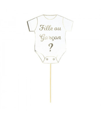 Photobooth gender reveal