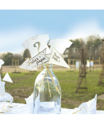 Photobooth gender reveal