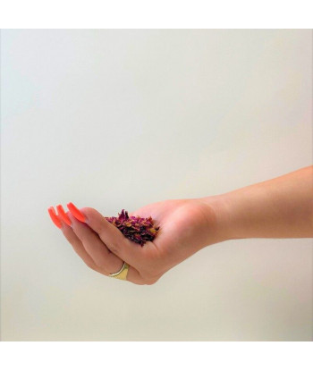 Confettis naturels de pétales séchés