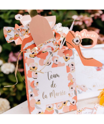 Kit photobooth EVJF  "team de la mariée"