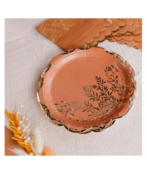 Assiettes Terracotta et Or x8