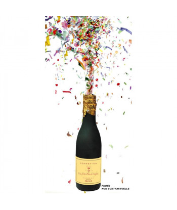Canon à serpentins - bouteille de champagne