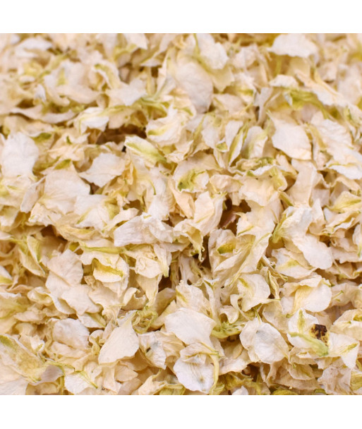 Confettis de fleurs séchées ivoire