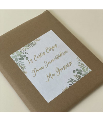 Cartes étapes de la grossesse OH BABY