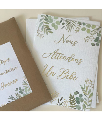 Cartes étapes de la grossesse OH BABY