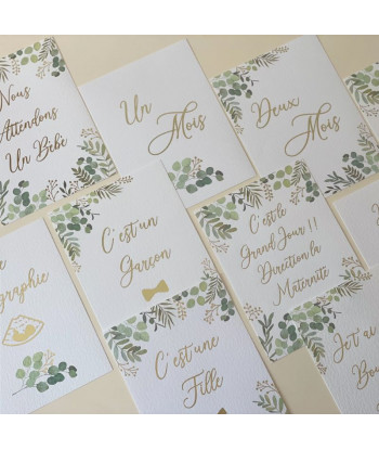 Cartes étapes de la grossesse OH BABY