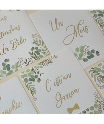 Cartes étapes de la grossesse OH BABY