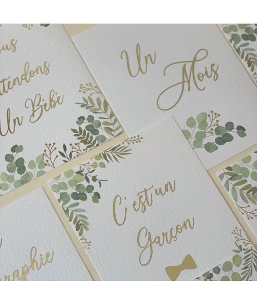 Cartes étapes de la grossesse OH BABY