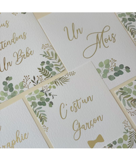 Cartes étapes de la grossesse OH BABY