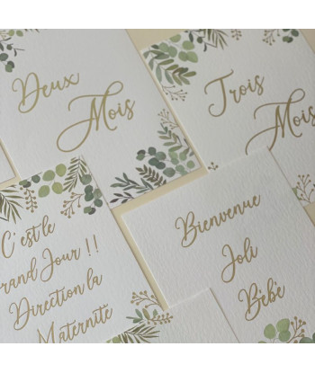 Cartes étapes de la grossesse OH BABY