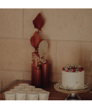 Bouteille vase terracotta - petit modele