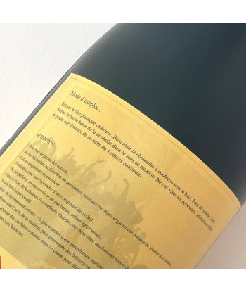 Canon à serpentins - bouteille de champagne