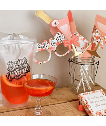 Kit photobooth EVJF  "team de la mariée"