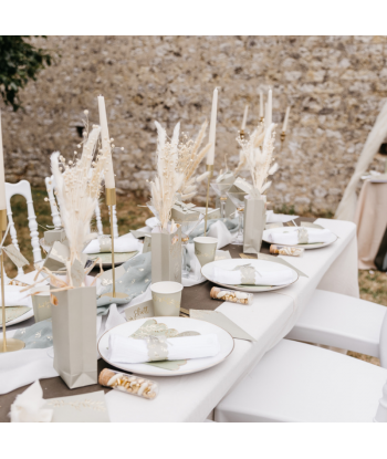 Assiettes vert sauge et or Jolis Brins x8