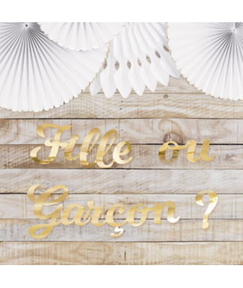 Guirlande gender reveal or “Fille ou garçon ?”