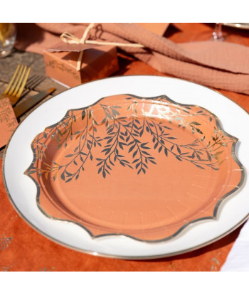Assiettes Terracotta et Or x8