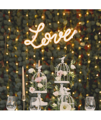 Néon led LOVE - blanc