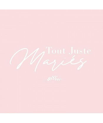 Sticker voiture mariage "tout juste mariés"