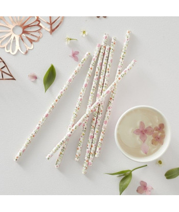 Pailles à fleurs (par 25)