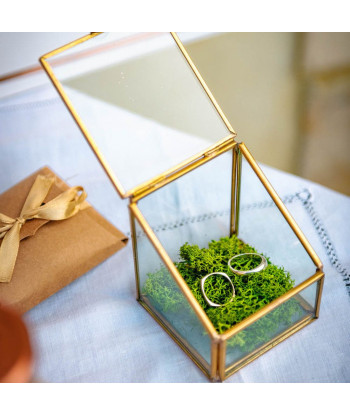 Porte alliances terrarium