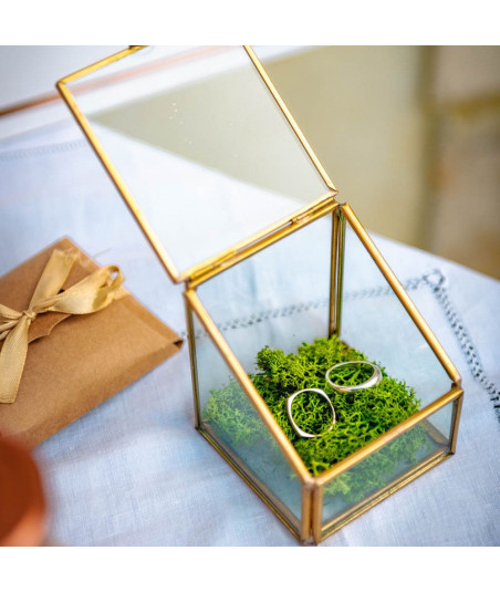 Porte alliances terrarium